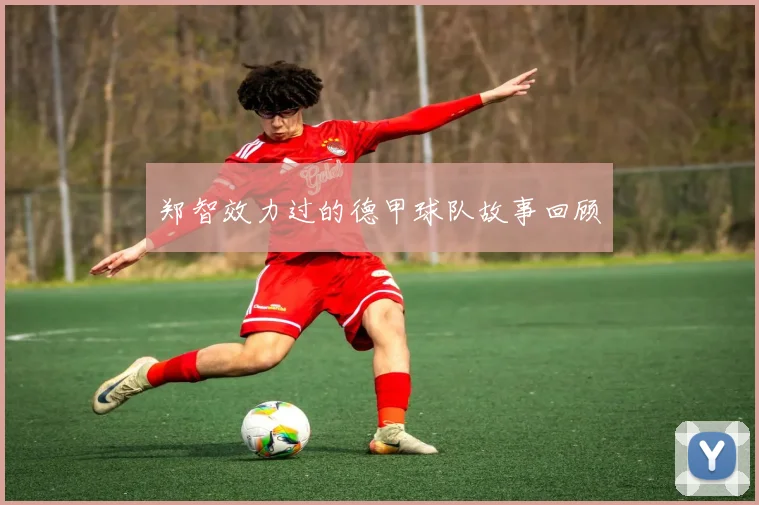 郑智效力过的德甲球队故事回顾