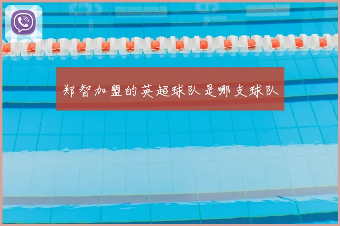 郑智加盟的英超球队是哪支球队