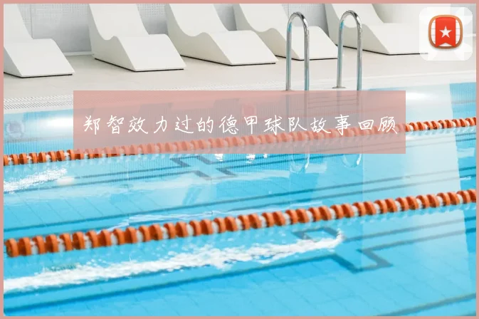 郑智效力过的德甲球队故事回顾